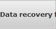 Data recovery for Long Point data