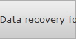 Data recovery for Long Point data